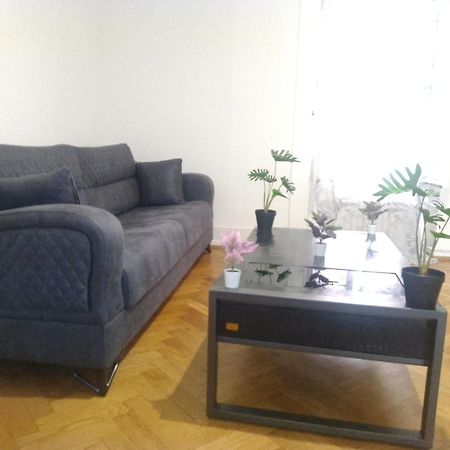 Charming Flat Center And Near The Lake Geneva Bagian luar foto