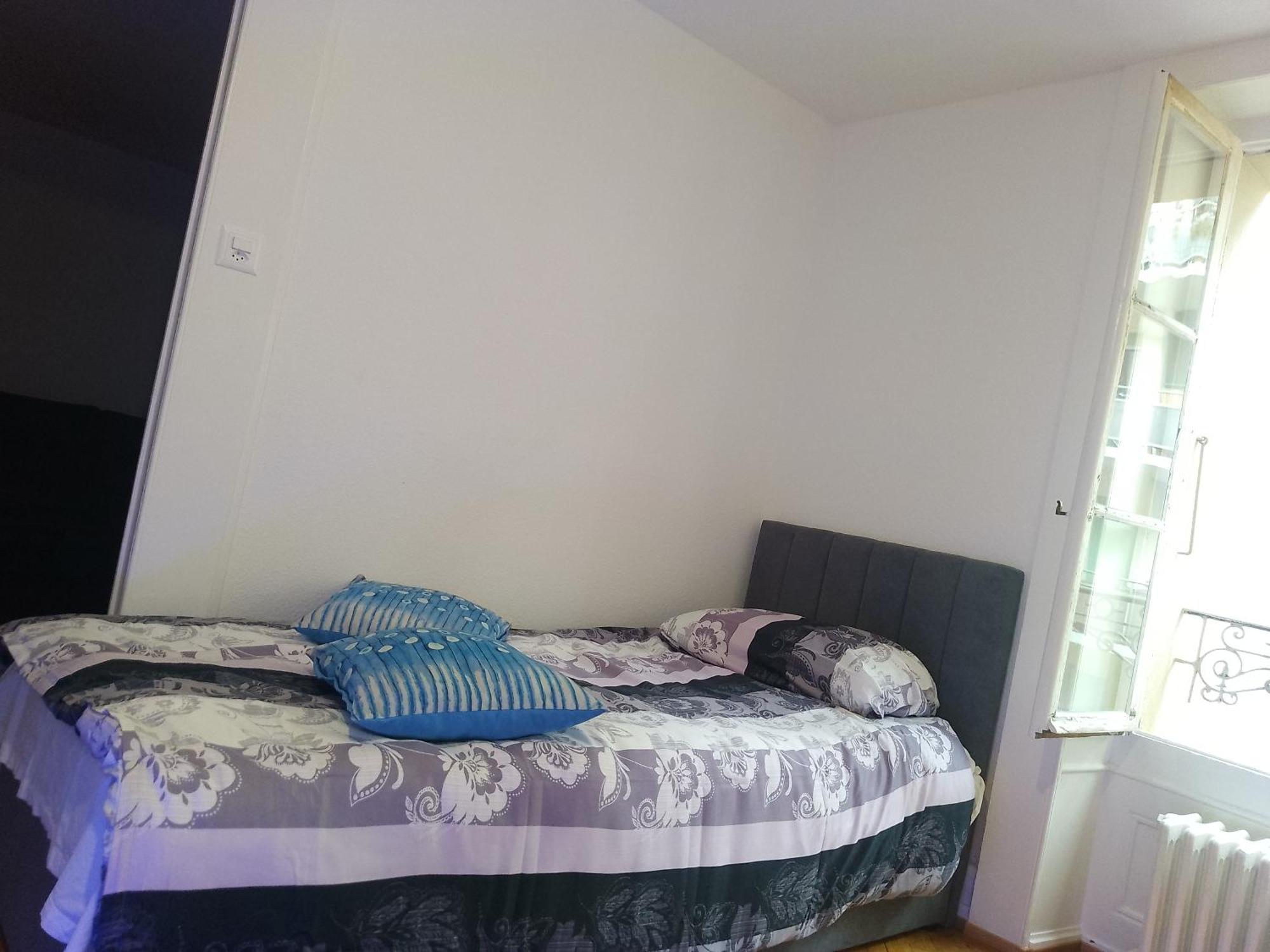 Charming Flat Center And Near The Lake Geneva Bagian luar foto