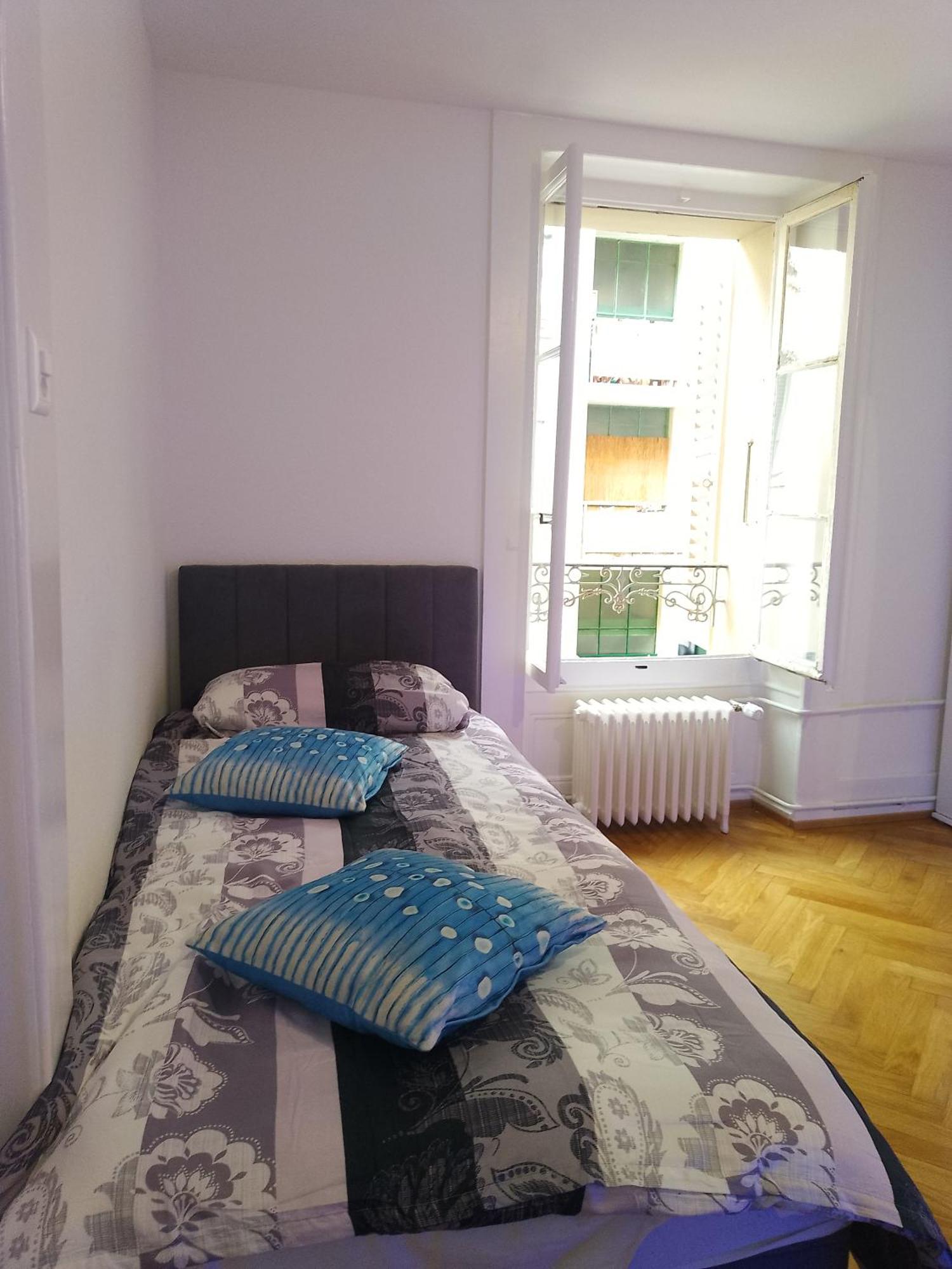 Charming Flat Center And Near The Lake Geneva Bagian luar foto
