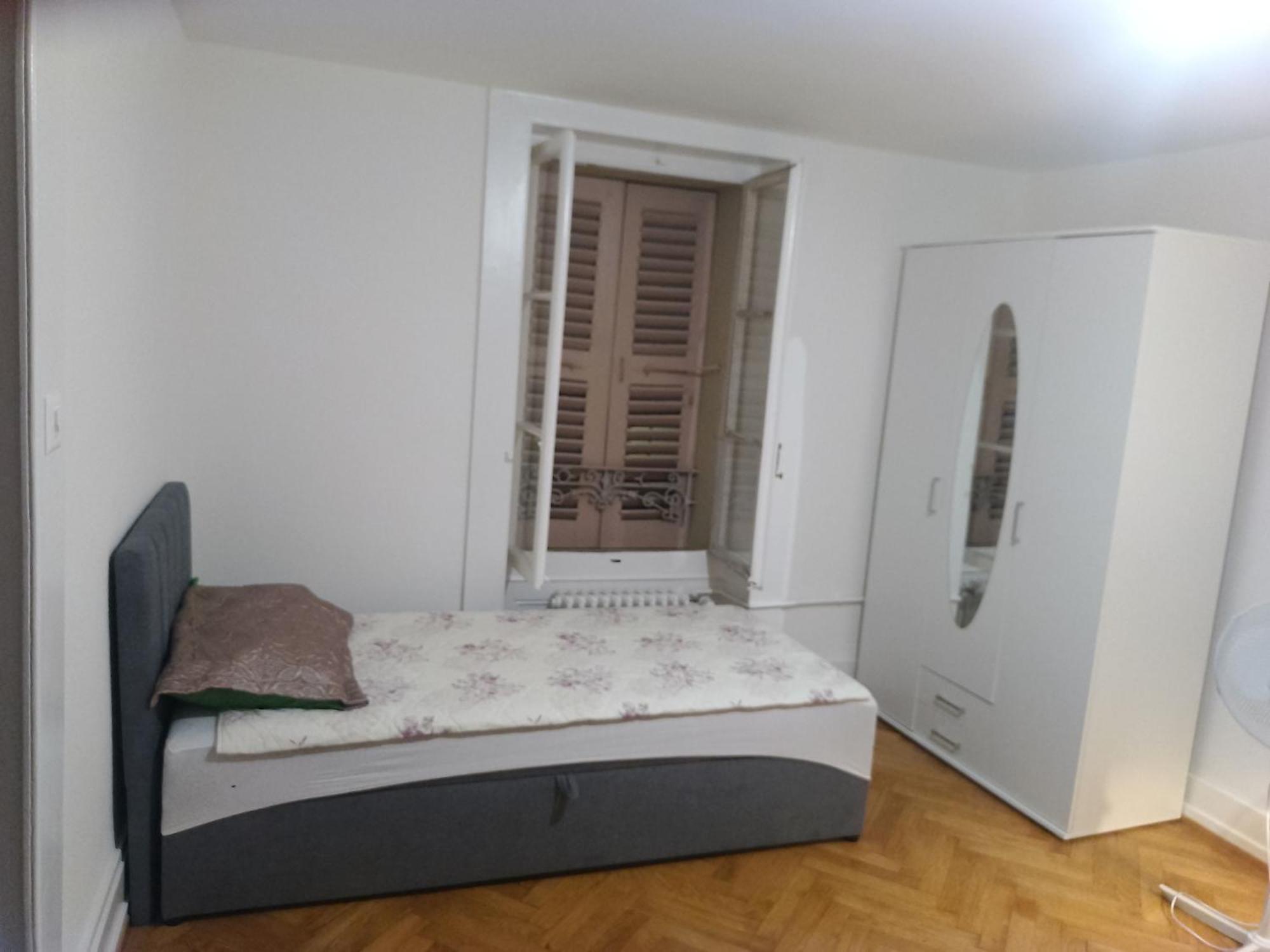 Charming Flat Center And Near The Lake Geneva Ruang foto
